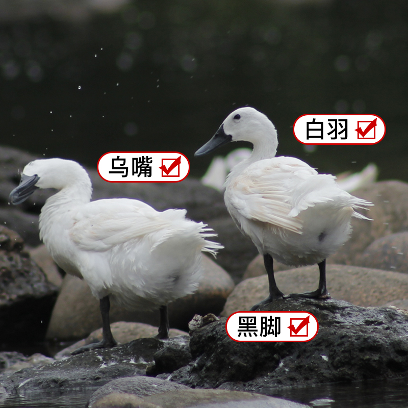 bd92b6dbeafe08385ae248532fe94f05.jpg